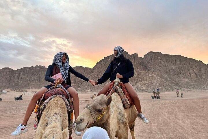 Super safari (Quad, Camel, Diner en Show) in Sharm El-Sheikh