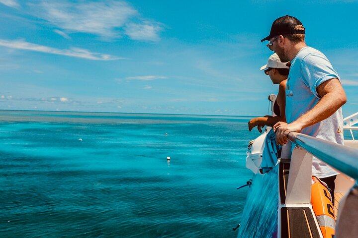 Halbtägige Great Barrier Reef Schnorcheltour