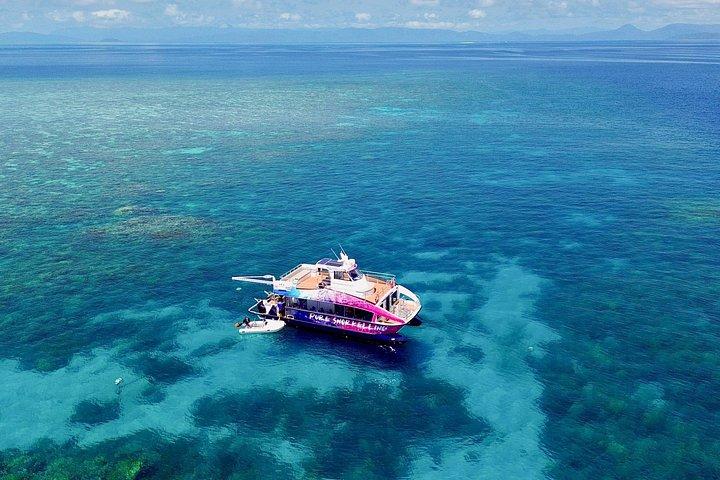 Halvdags snorkeltur til Great Barrier Reef