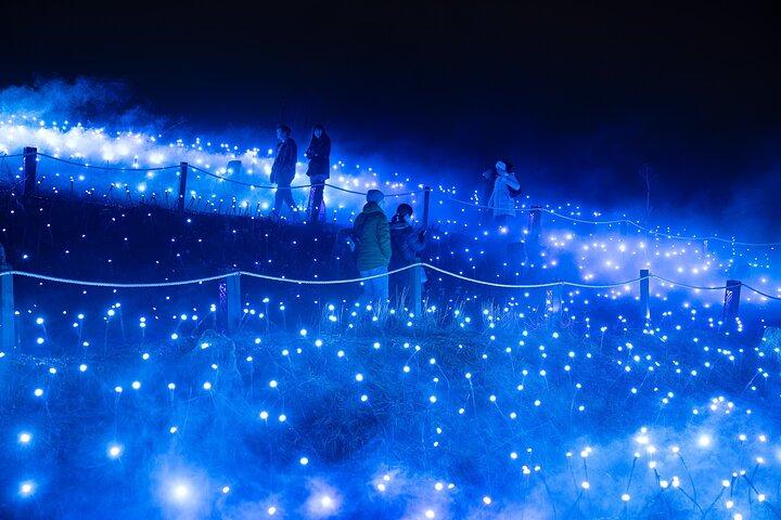 Astra Lumina Nachtwandeling bij Currumbin Wildlife Sanctuary