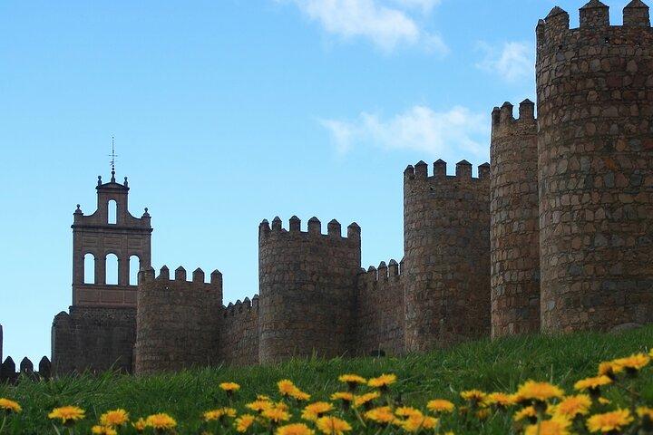 Privé dagtrip naar Ávila en Segovia