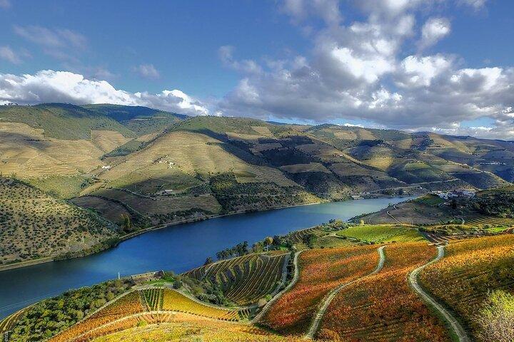 Porto Dourovallei Tour: De rijkdom van wijn - All-inclusive