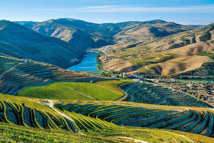 Porto Dourovallei Tour: De rijkdom van wijn - All-inclusive