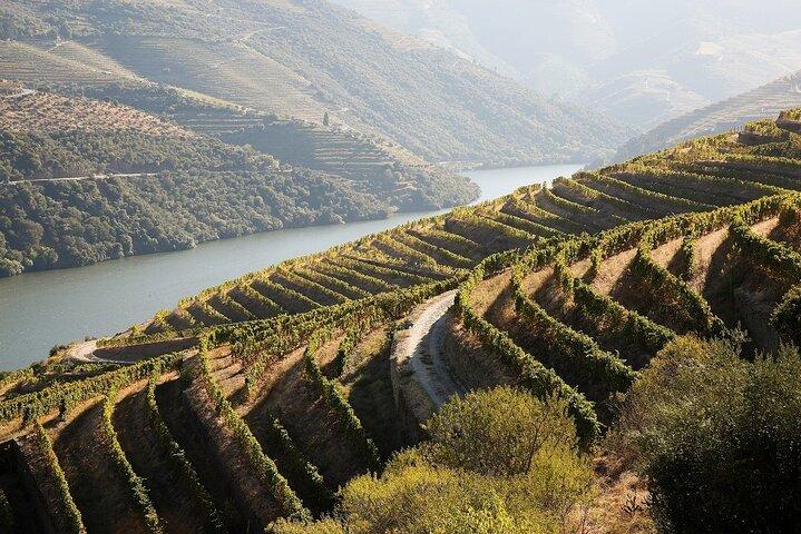 Porto Dourovallei Tour: De rijkdom van wijn - All-inclusive
