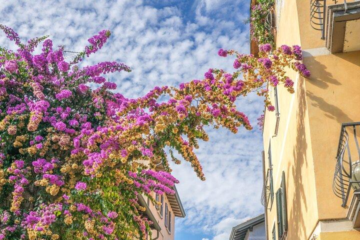 Excursão privada de um dia para Sirmione de Veneza