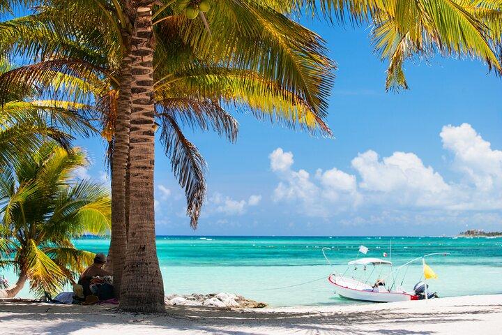 Cancún: Turtles do mar e Cenote Tour com Pick Up do seu hotel