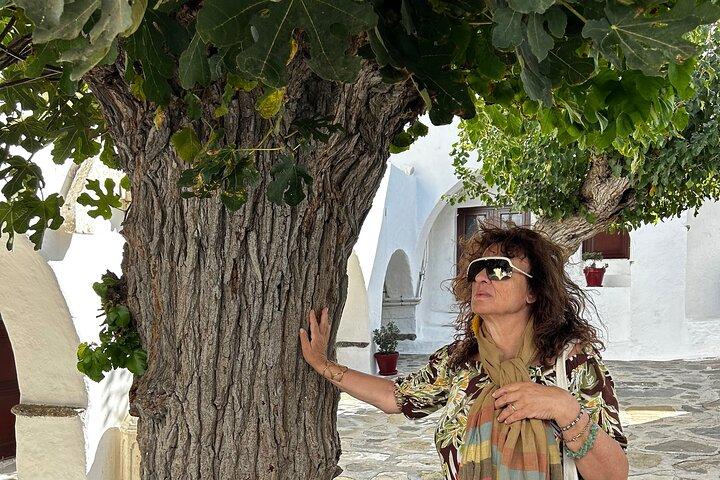 Privat tur: Mykonos ön på en halv dag