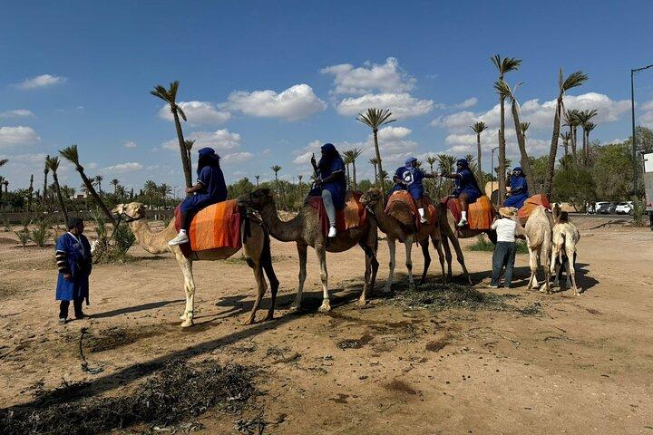 Camel Ride Through Palmeraie of Marrakech