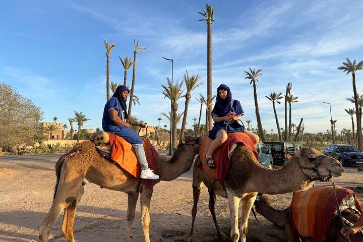 Camel Ride Through Palmeraie of Marrakech