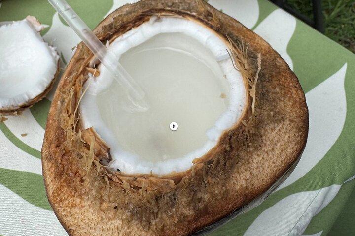 Tour di degustazione di frutta esotica a Kona