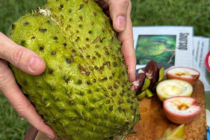 Tour di degustazione di frutta esotica a Kona
