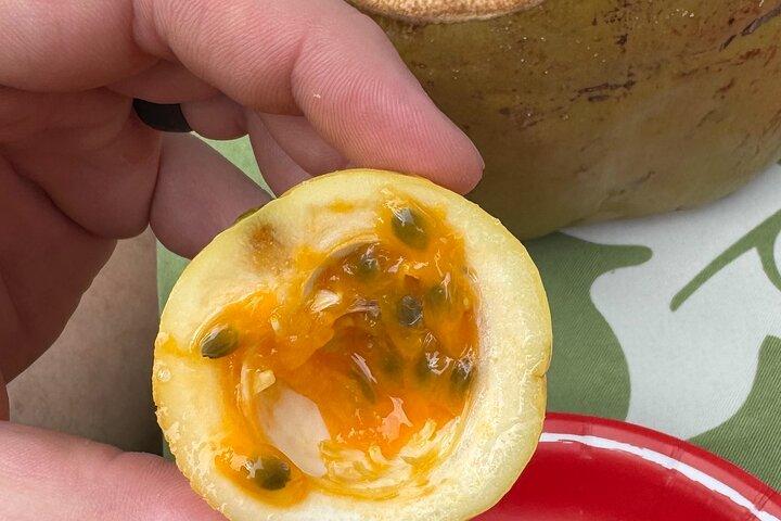 Tour di degustazione di frutta esotica a Kona
