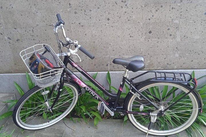 Bali Cykeludlejning