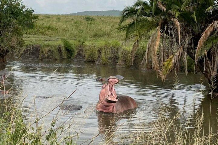Safari privado de 5 días por el norte de Tanzania, con salida de Arusha