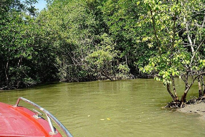 Exclusive Vam Sat Nature and Wildlife Exploration