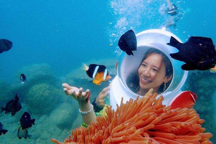 ニャチャン湾シーウォーキングアドベンチャーと地元料理