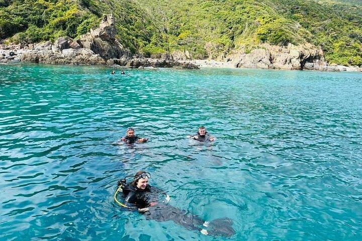Nha Trang Marine Park Scuba Diving Tour 2 immersioni per principianti