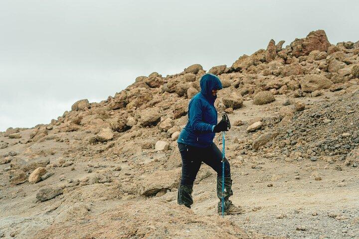 7 dage MT Kilimanjaro Private vandreture via Machame Route