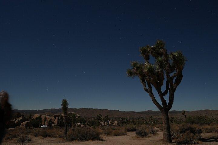 Joshua Tree National Park privat äventyr från Los Angeles