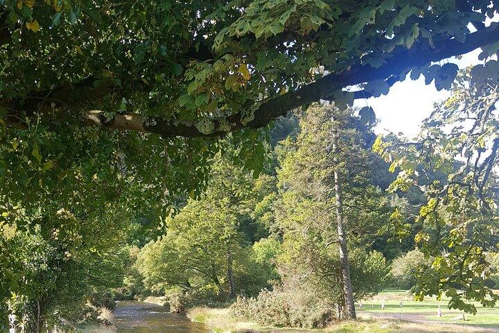Private day trip to Wicklow mountains from Dublin