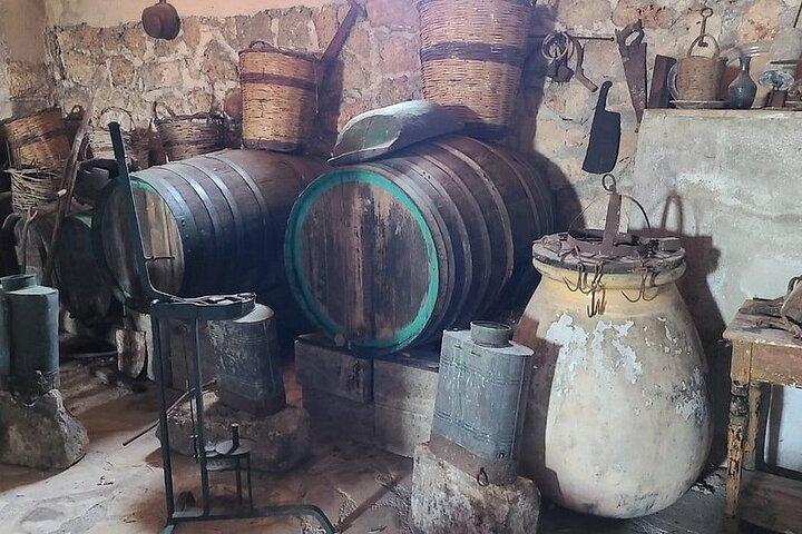Esperienza di raccolta del vino di Cefalonia Robola