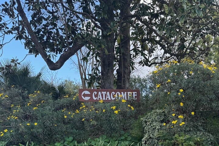 Rome Underground Tour: Catacombs, Crypts & Secrets with Transfers