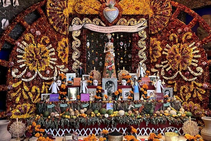 Frida Kahlo VIP-Walk, Market and Churros Museum Tickets Included