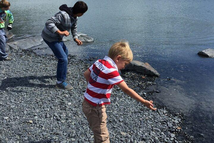 Whittier naar Anchorage bezienswaardigheden met Wildlife Tour
