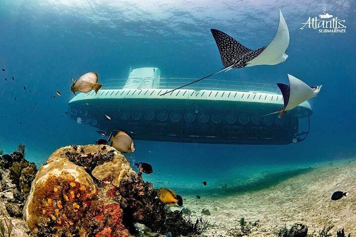 Tour Cozumel en Submarino desde Cancún o Playa del Carmen