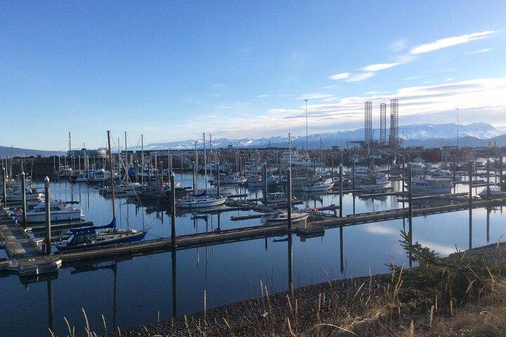 Whittier naar Anchorage bezienswaardigheden met Wildlife Tour