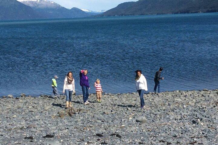Whittier naar Anchorage bezienswaardigheden met Wildlife Tour