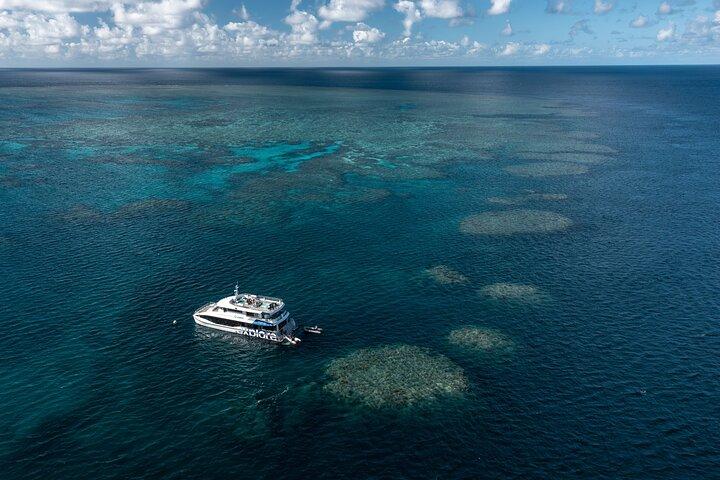 Snorkel em Great Barrier Reef a partir de Hamilton Island