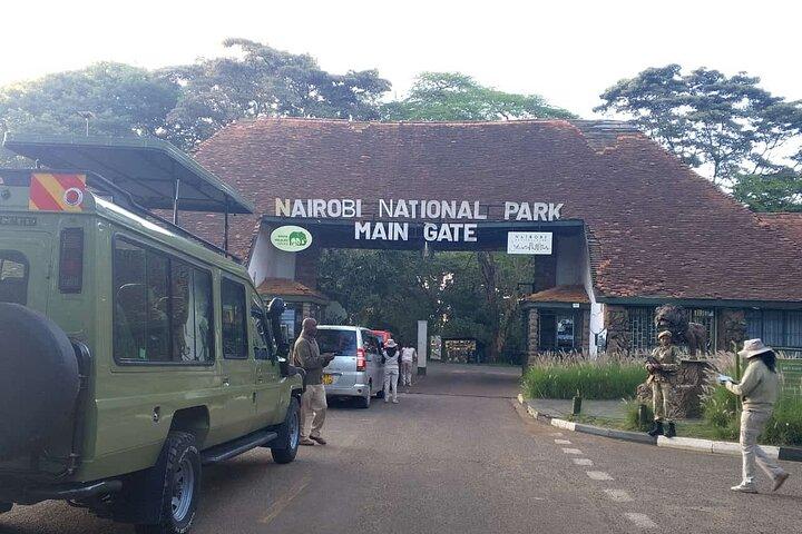 Parco nazionale di Nairobi: un'esperienza faunistica guidata