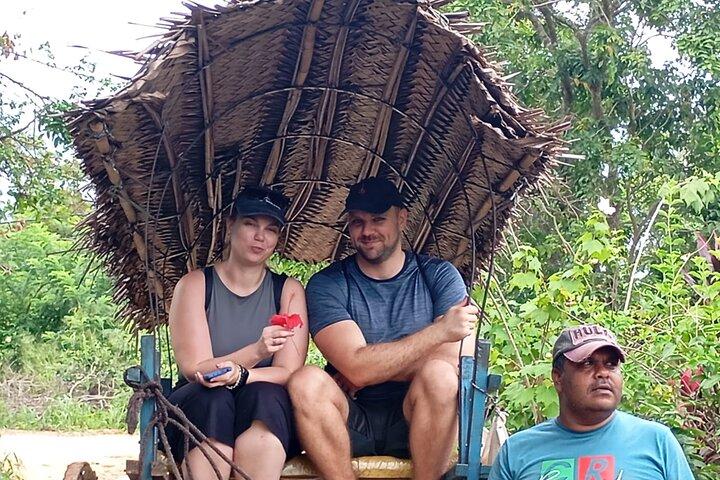 Sigiriya Rock Climb, Village Tour+Cooking Class & Elephant Safari
