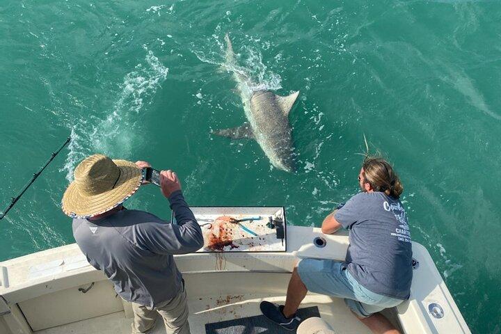 Aventure de pêche hauturière partagée de 8 heures à Key West