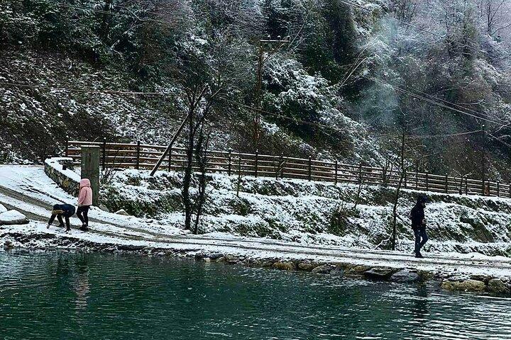 Full Day Istanbul to Sapanca tour with Lunch and Guide