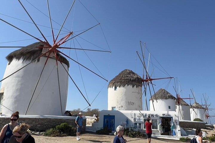 Mykonos halvdags privat strandutflykt