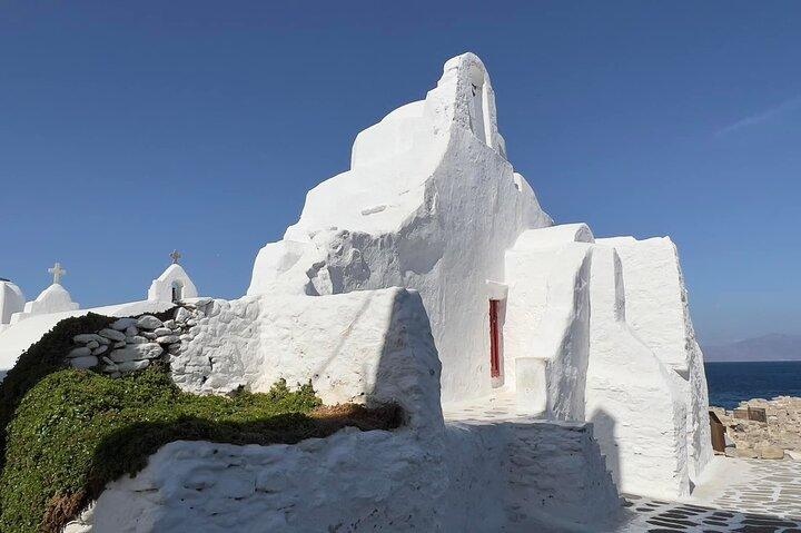 Mykonos halvdags privat strandutflykt