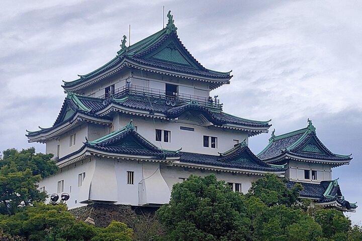 Excursión de un día a Wakayama desde Osaka