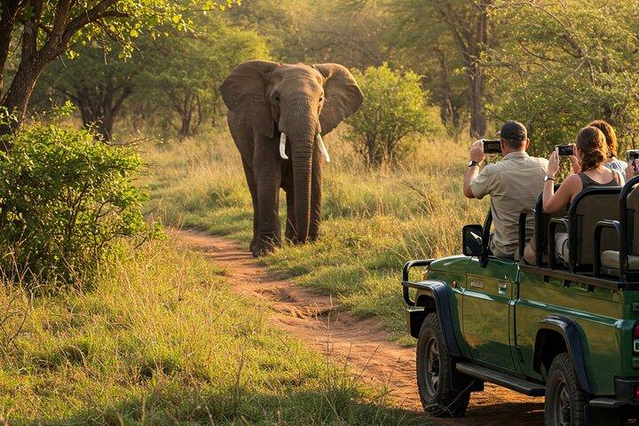 Heldags Krugersafari från Maputo Open Backed Safari Vehicle