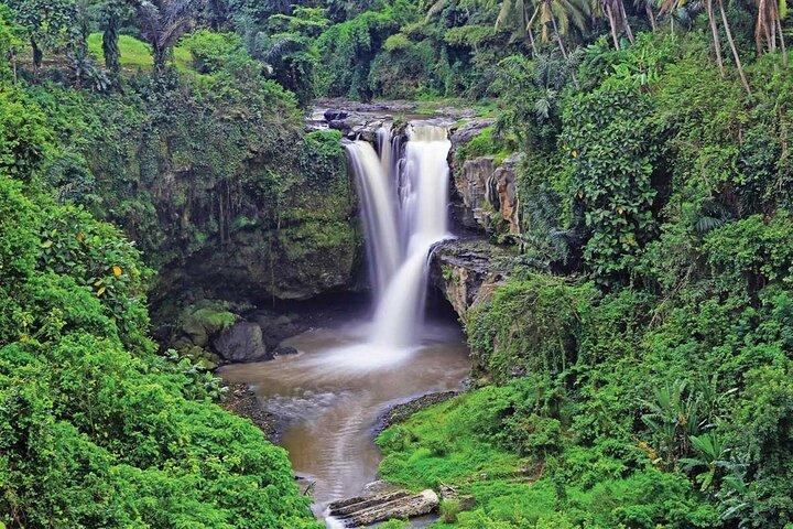 Explorez les rizières en terrasses, les cascades et la culture balinaise d'Ubud