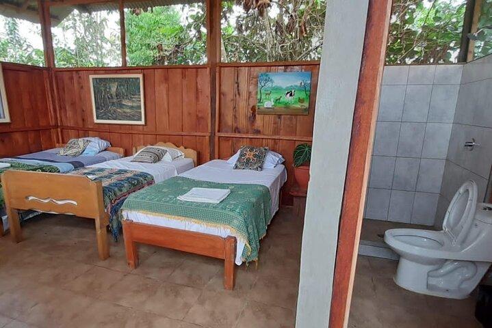 3 dagar 2 nätter Amazonas regnskogsdjur 270 USD