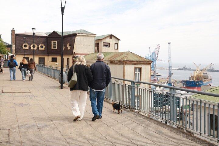 Tour Valparaíso y Viña del Mar desde Santiago con Recogida Hotel