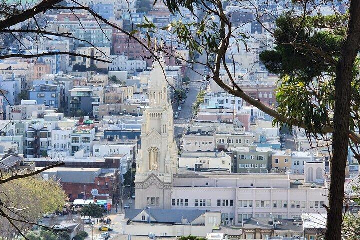 San Francisco Bay Cruise e City Combo Tour