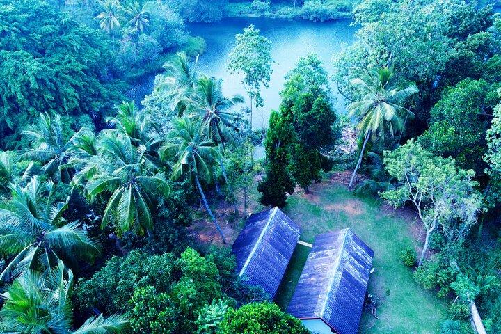 Walawe Palm Safari Udawalawe