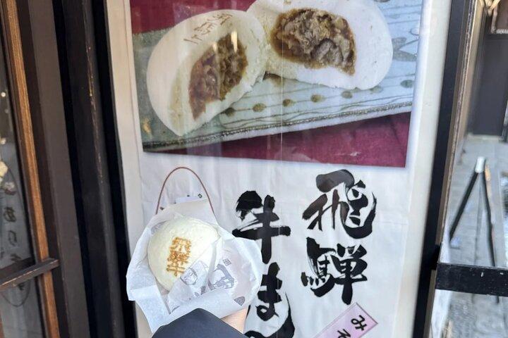 Dagtocht vanuit Nagoya in Gujo Hachiman Takayama en Shirakawago