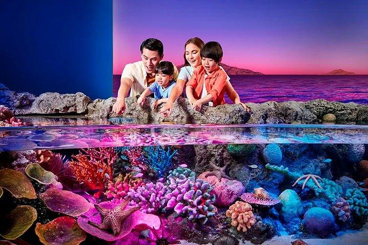 SEA LIFE Bangkok Ocean World Ticket
