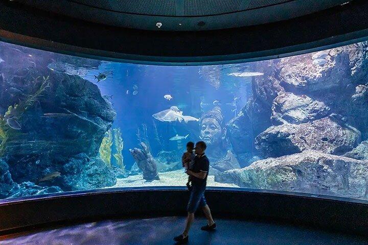 SEA LIFE Bangkok Ocean World Ticket