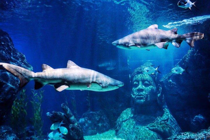 Boleto SEA LIFE Bangkok Ocean World