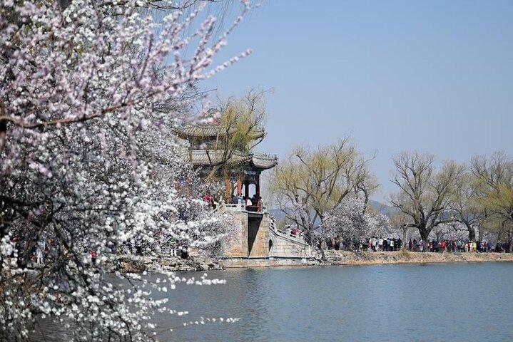 Cidade Proibida Privada e Tiananmen com Summer Palace Tour